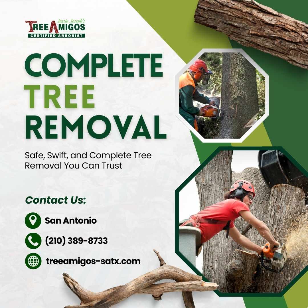 Complete Tree Removal in San Antonio