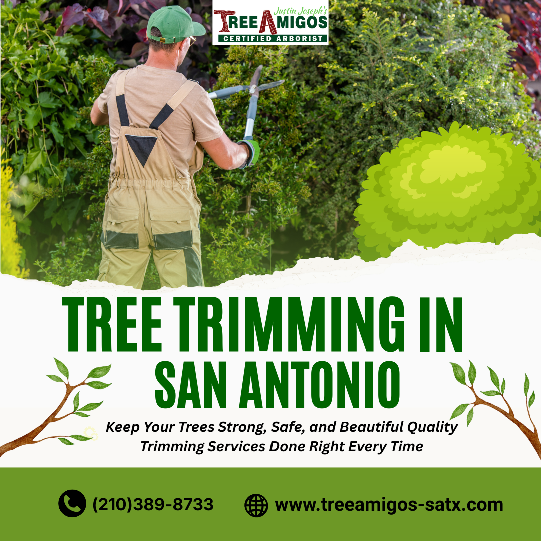 Tree Trimming In San Antonio
