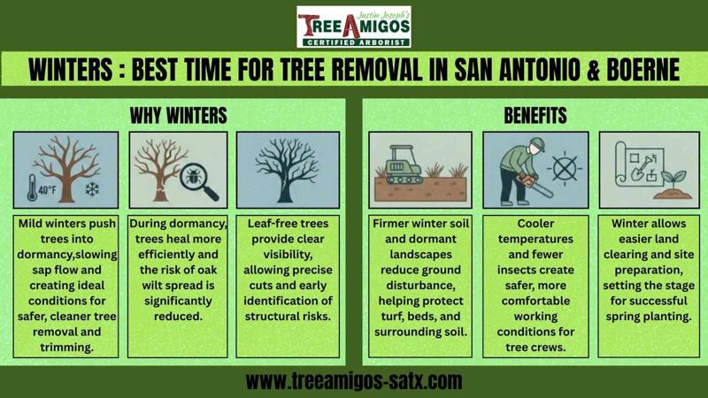 Winters: best Time for Tree Removal In San Antonio And Boerne