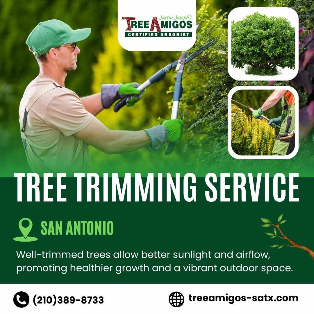 Tree Trimming Service in San Antonio