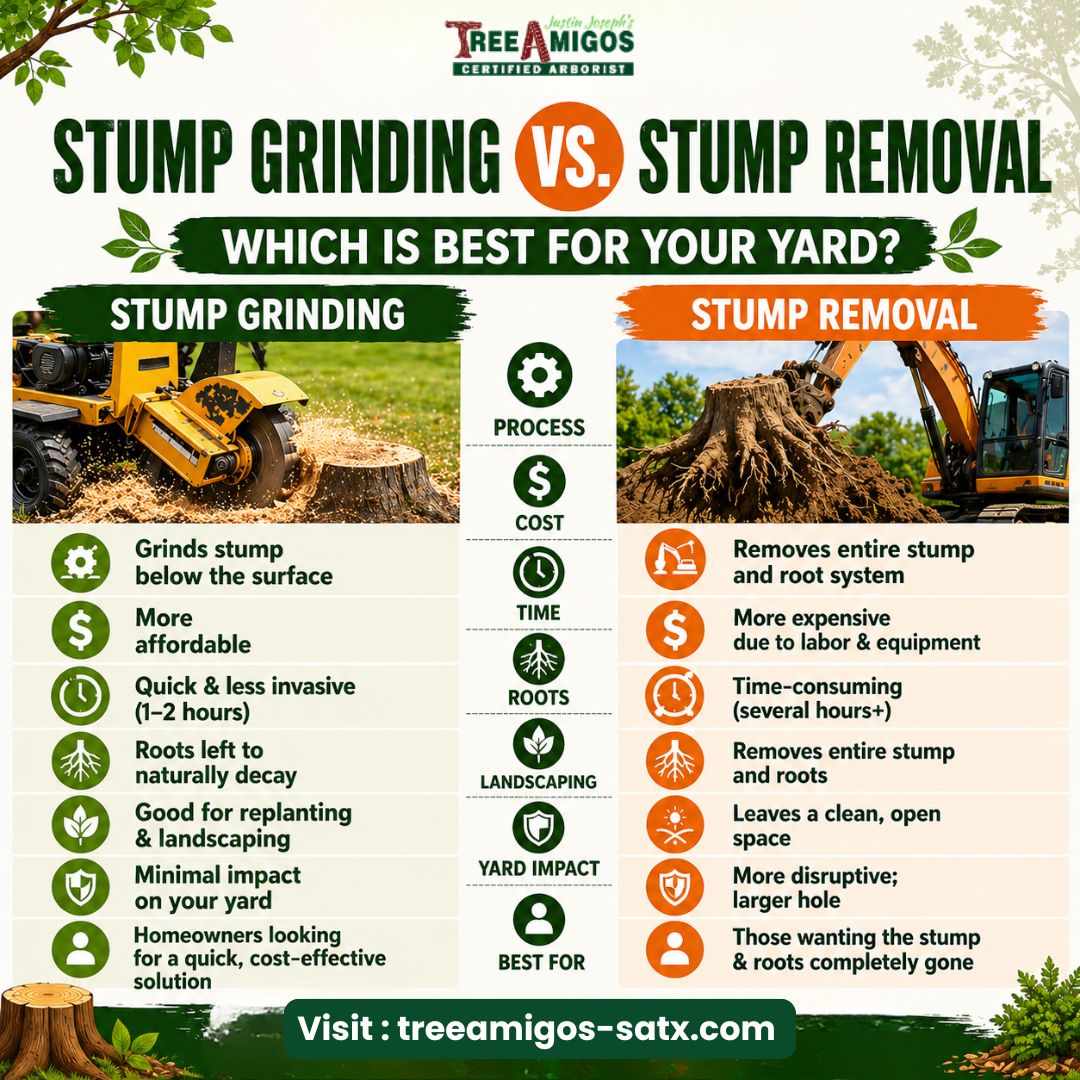 Stump Grinding vs Stump Removal
