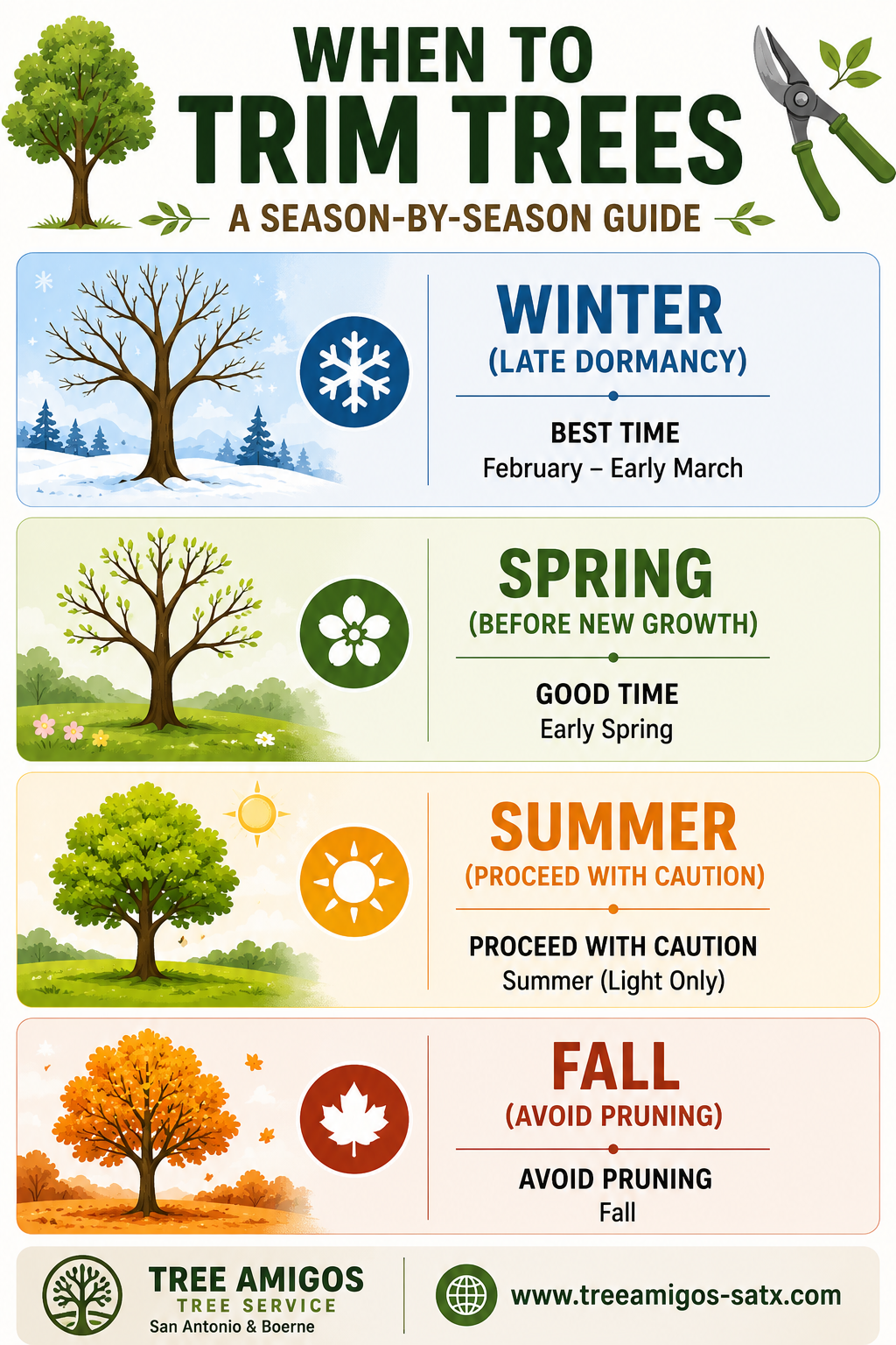 When to Trim Trees: A Season-by-Season Guide