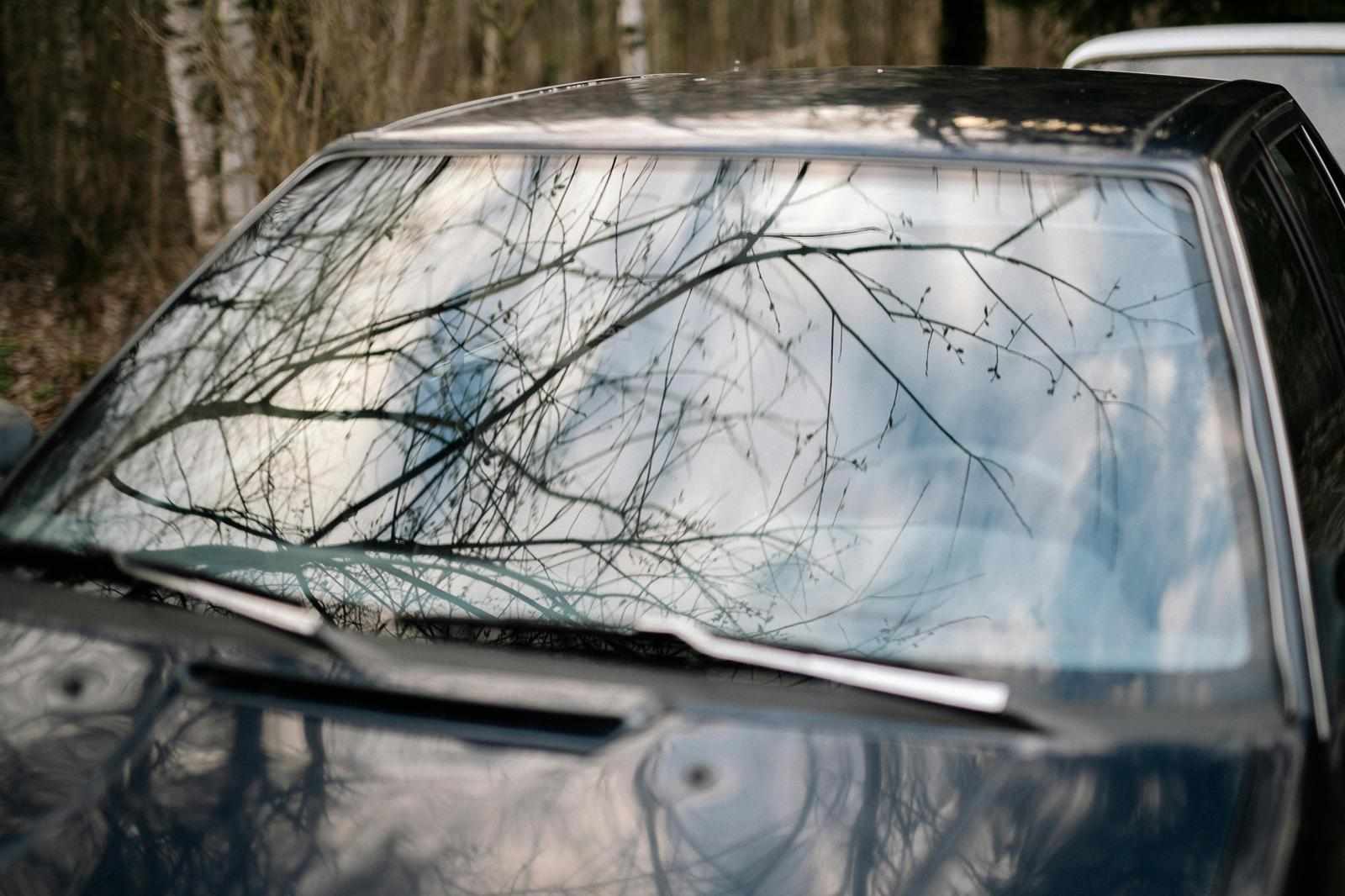 Let Your Drive Shine Bright with Expert Windscreen Repair and Replacement