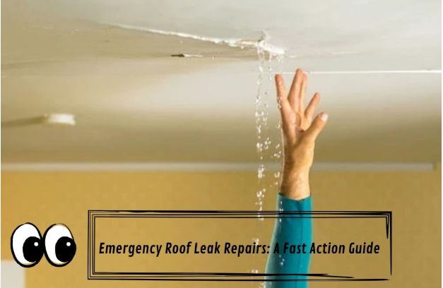 Emergency Roof Leak Repairs: A Fast Action Guide