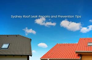 Sydney Roof Leak Repairs and Prevention Tips