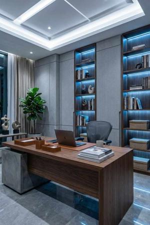 19. Shadow Conspiracy