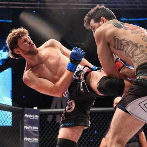 Build Confidence and Skill at Minnesota’s Top Jiu Jitsu Gym