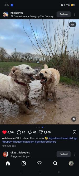 JANANI KALIVARATHAN logo