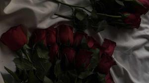 ✧ 𝐀𝐔𝐓𝐇𝐎𝐑’𝐒 𝐍𝐎𝐓𝐄 & 𝐓𝐖 ✧