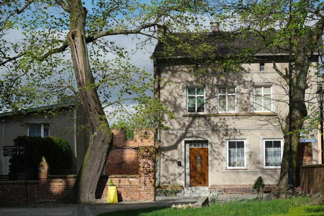 Protecting Your Home: How Trees Can Impact Structural Integrity