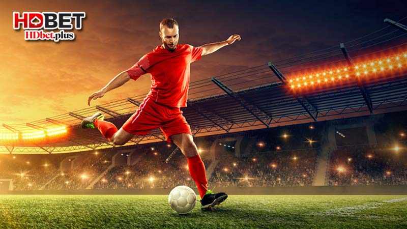 Lưu ý người mới để cá cược thành công