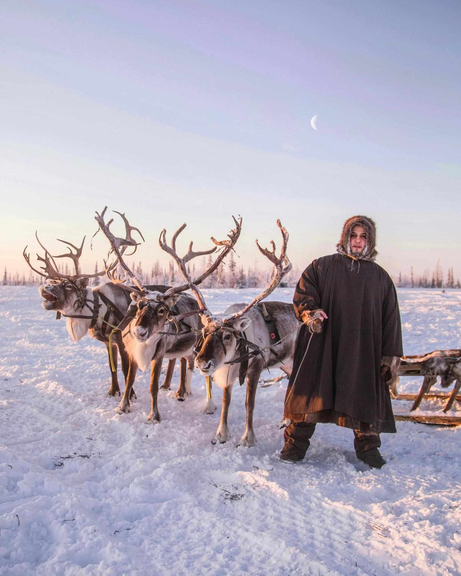 Experience the Beauty of Lapland with Lapland Tours