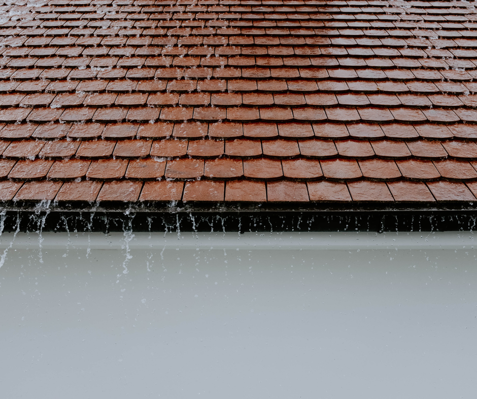 Best Gutter Guards Milwaukee: A Complete Guide to Protecting Your Home from Clogs and Water Damage