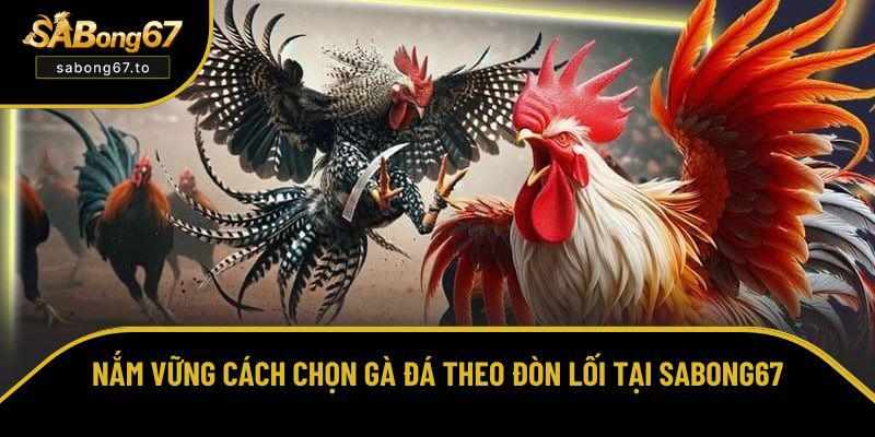 Trang web mẫu không thừa nhận - Cái nhìn mới về thiết kế web