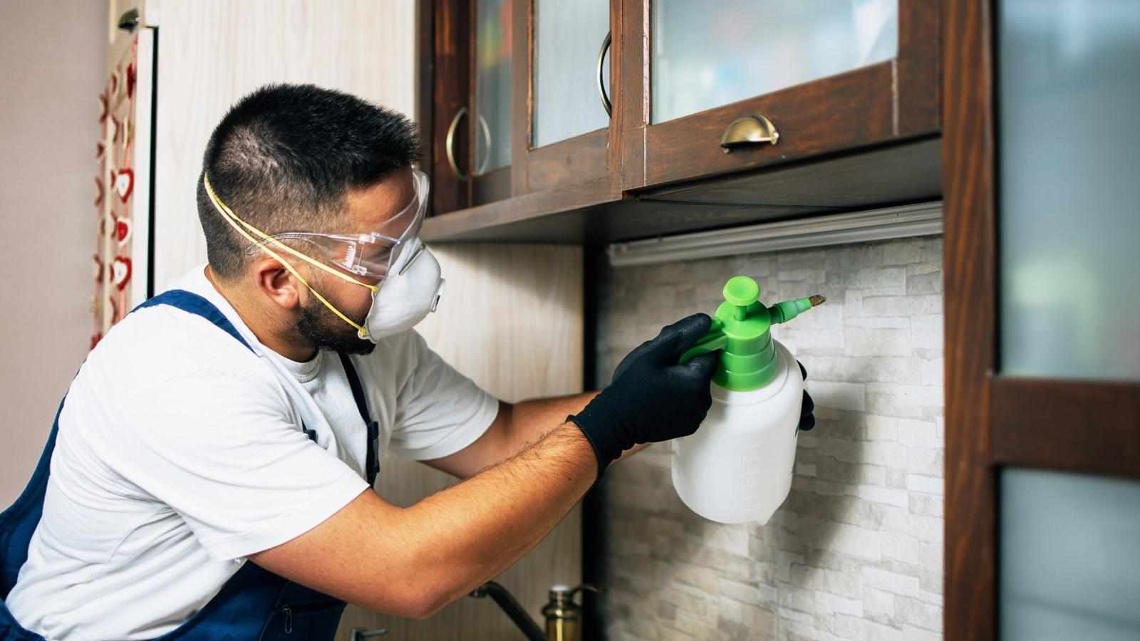 Top 10 Reasons You Need Professional Pest Control in Wilmington, DE