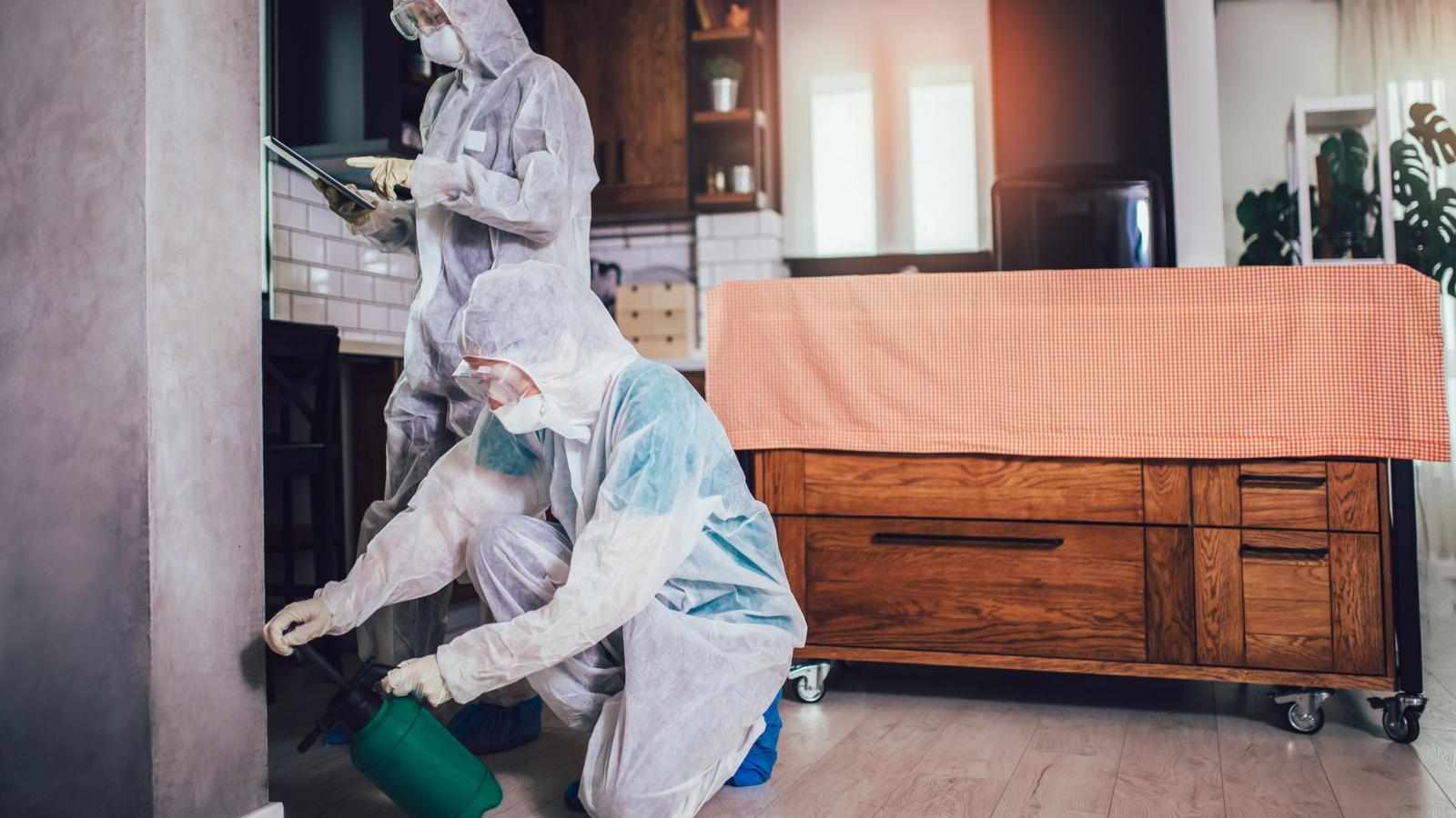 The Ultimate Guide to Roaches Pest Control in Wilmington and Surrounding Areas