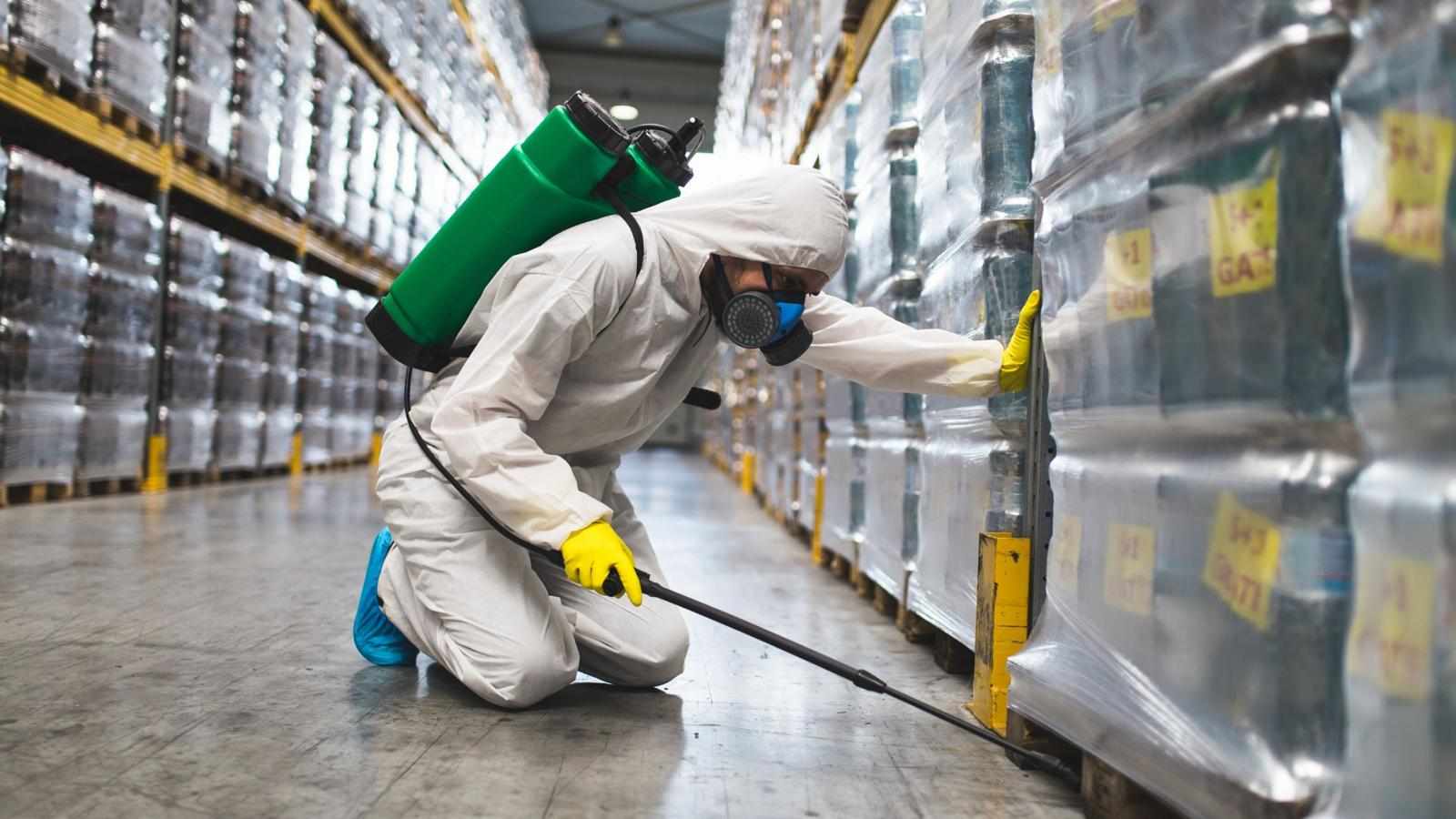 Why Professional Residential Pest Control Services Are a Smart Investment for Homeowners