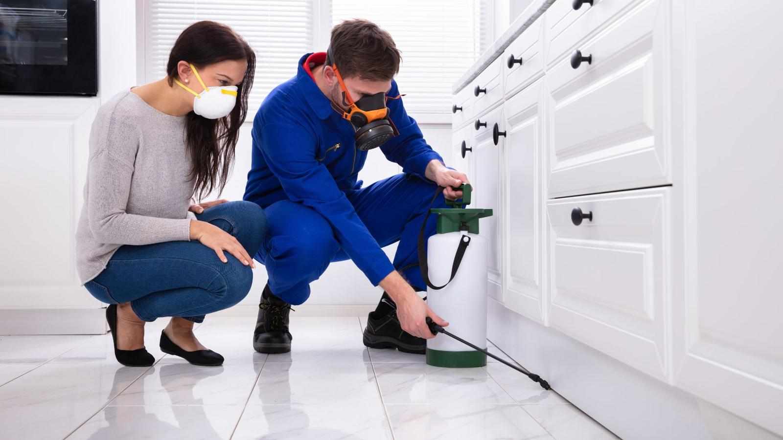 How Regular Residential Pest Control Services Prevent Seasonal Pest Surprises