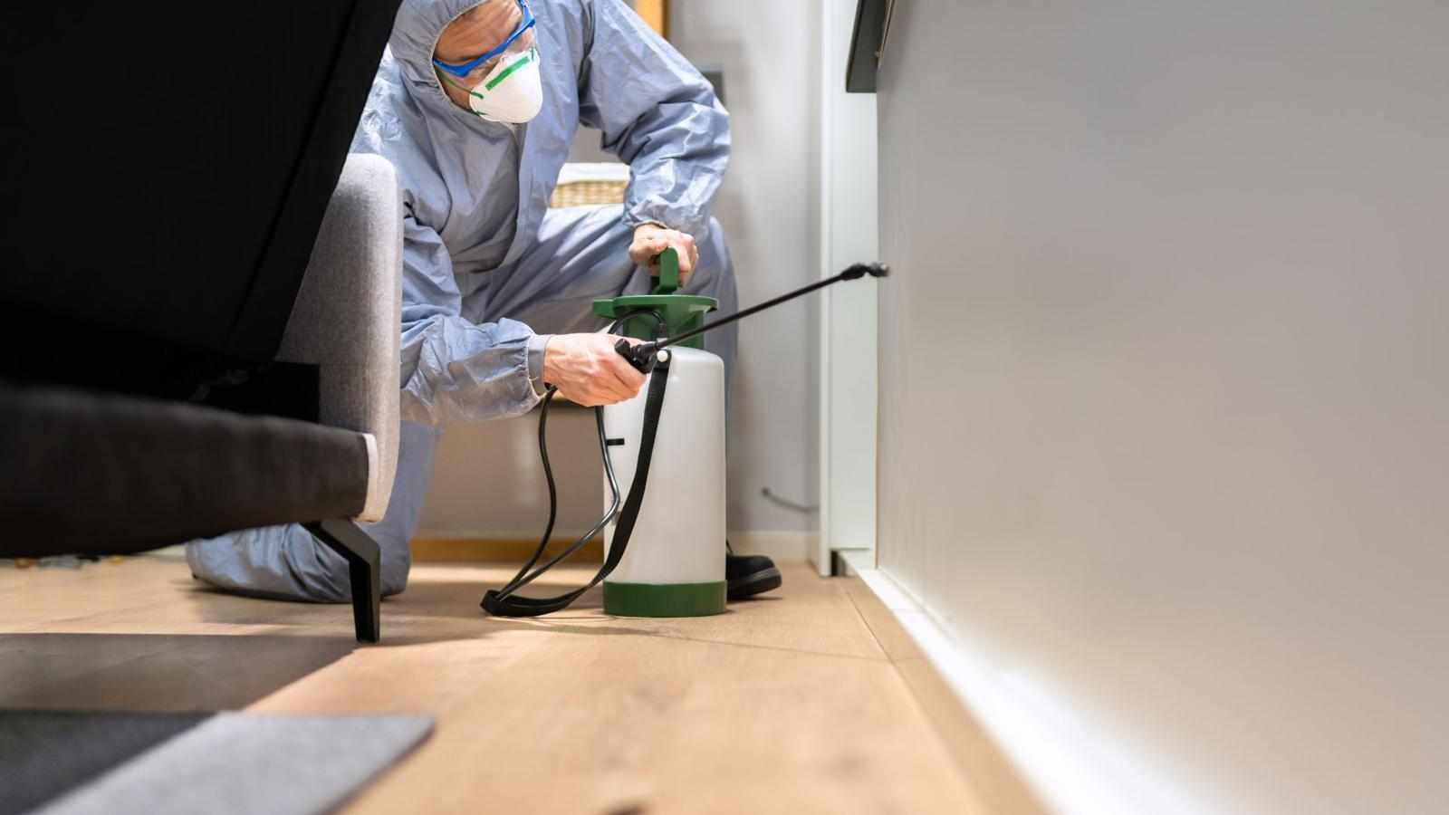 Affordable Pest Control Services: What Homeowners Should Know Before Hiring
