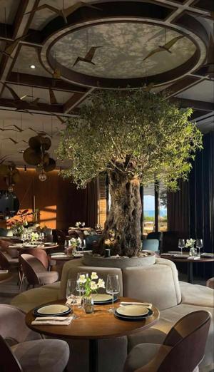 Chapter 36 | Lies & Daydreaming?