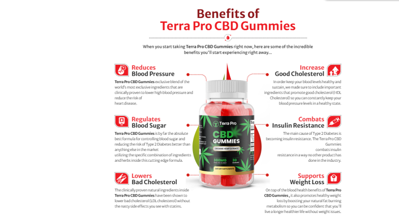 Terra Pro CBD Gummies 2025 UPDATED RISKY OR FRAUD DOES IT REALLY WORK ?