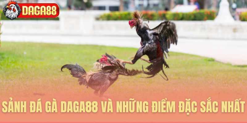 ĐÁ GÀ DAGA88 VÀ NHỮNG ĐIỂM ĐẶC SẮC NỔI BẬC