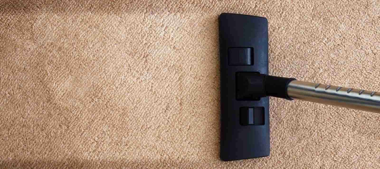 Eco-Friendly Carpet Steam Cleaning by SB Cleaning Services