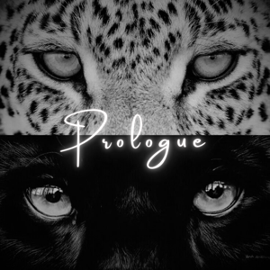 Prologue | Happiness burnt down to ashes