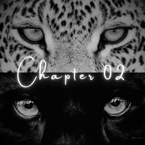 Chapter 2