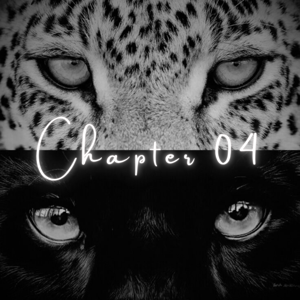 Chapter 4: The Light and the Ashes