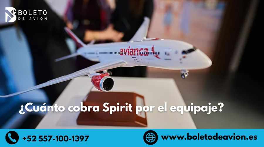¿Cuánto cobra Spirit por el equipaje?