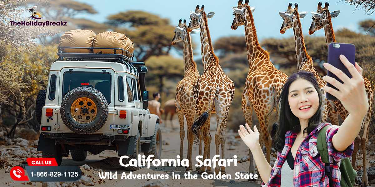 Experience the Wild Side - Top Safari Adventures in California