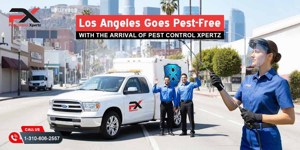 Los Angeles Goes Pest-Free with Pest Control Xpertz
