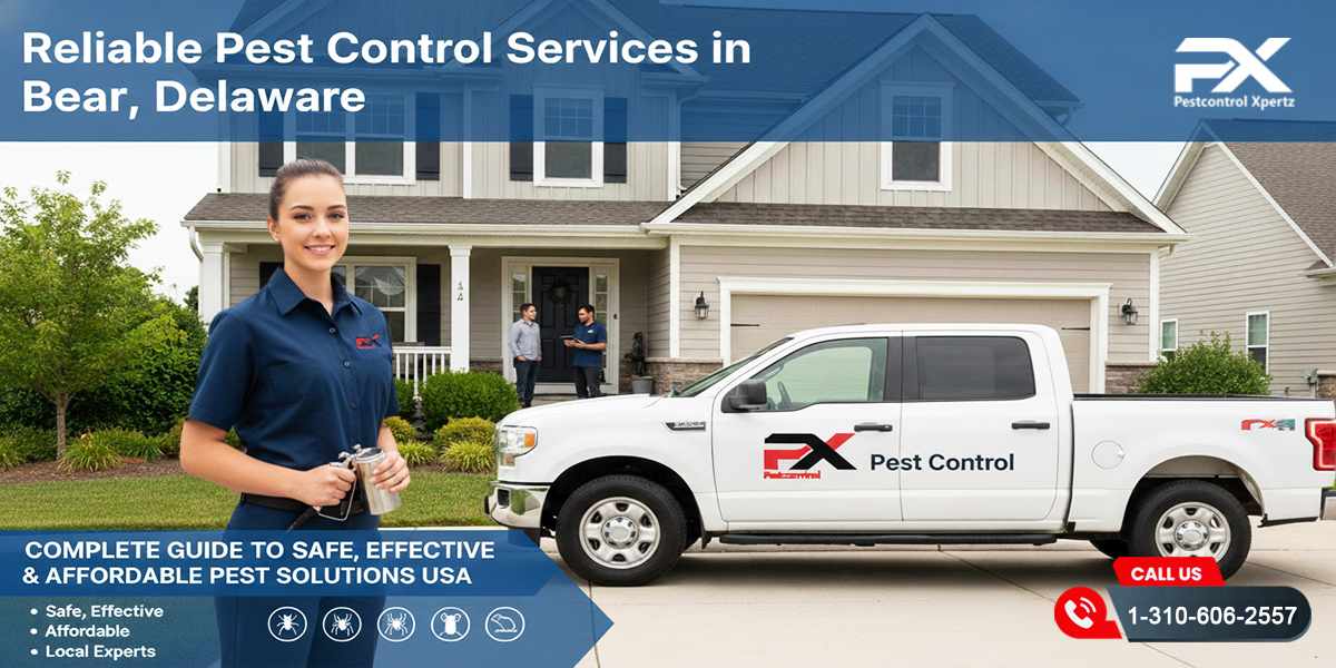 Reliable Pest Control Services in Bear, Delaware – Safe & Effective Pest Solutions USA