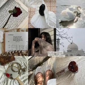 Chapter 1: The Replace Bride✨
