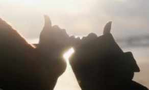 1:ššššššš ššššššššš