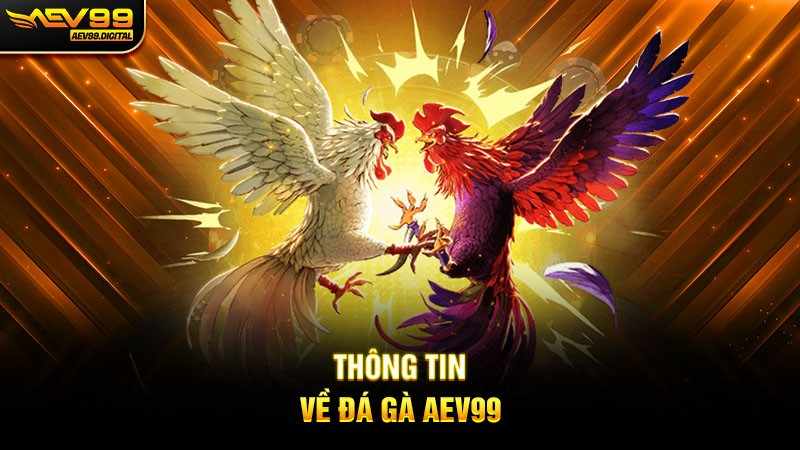 THÔNG TIN VỀ ĐÁ GÀ AEV99