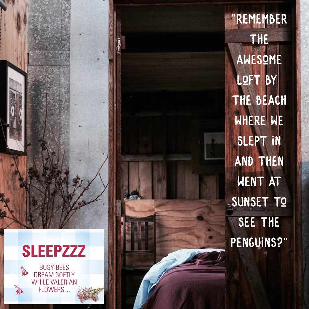 Conquering the Nightmares: Battling Anxiety-Induced Sleep Issues