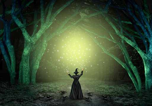 The forest witch 