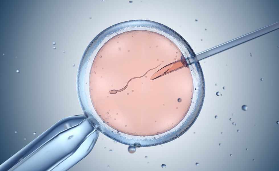 What to Expect During Your First IVF Cycle