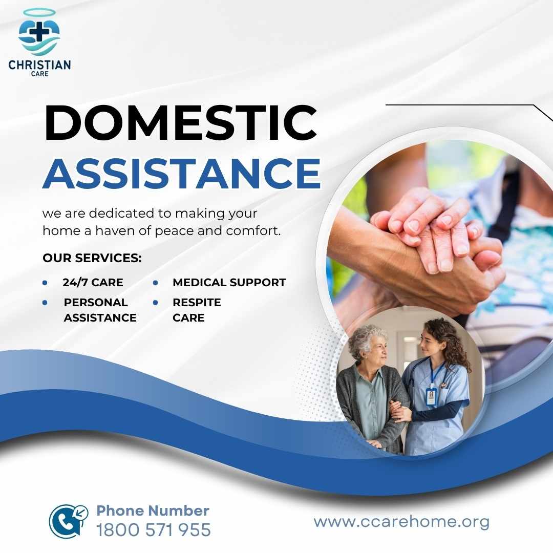 Domestic Assistance Services