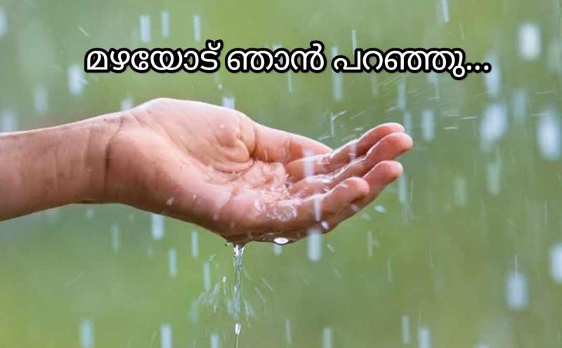 മഴയോട്  ഞാൻ  പറഞ്ഞു...