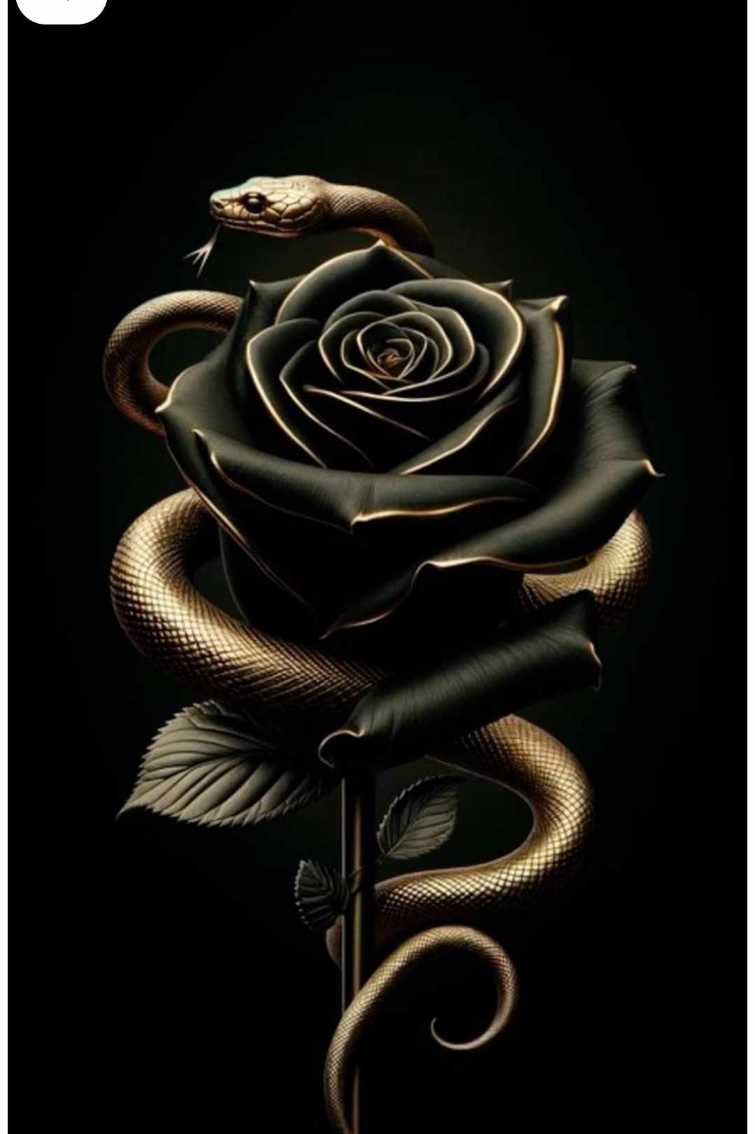 Some one stop my older brother๐