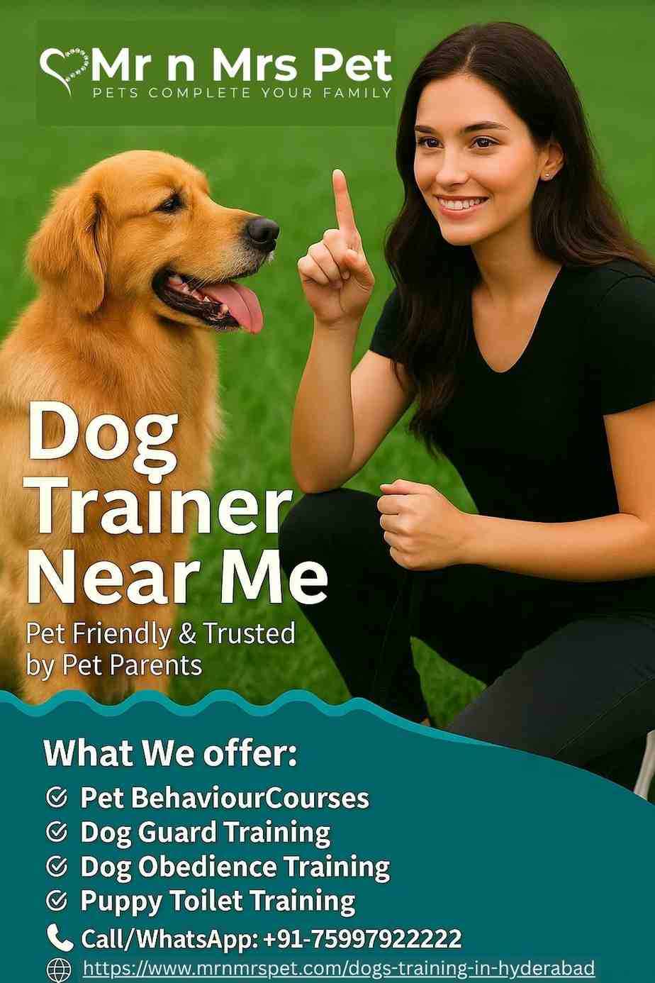 Experienced Dog Trainer Near Me