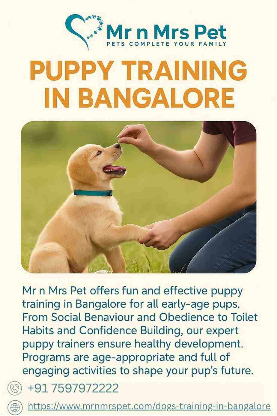 Puppy Training in Bangalore