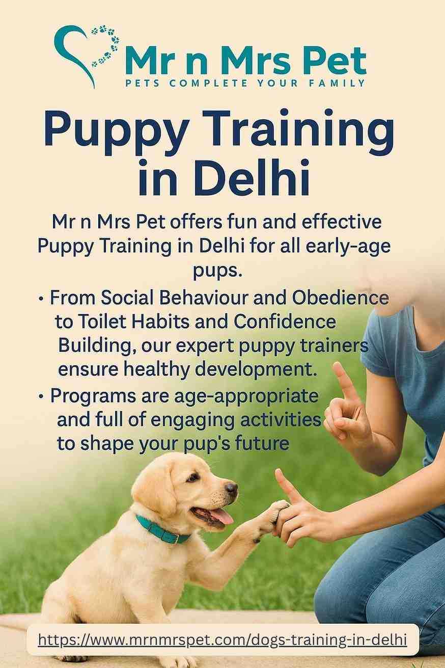 Puppy Training in Delhi