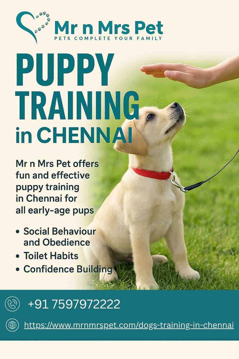 Puppy Training in Chennai