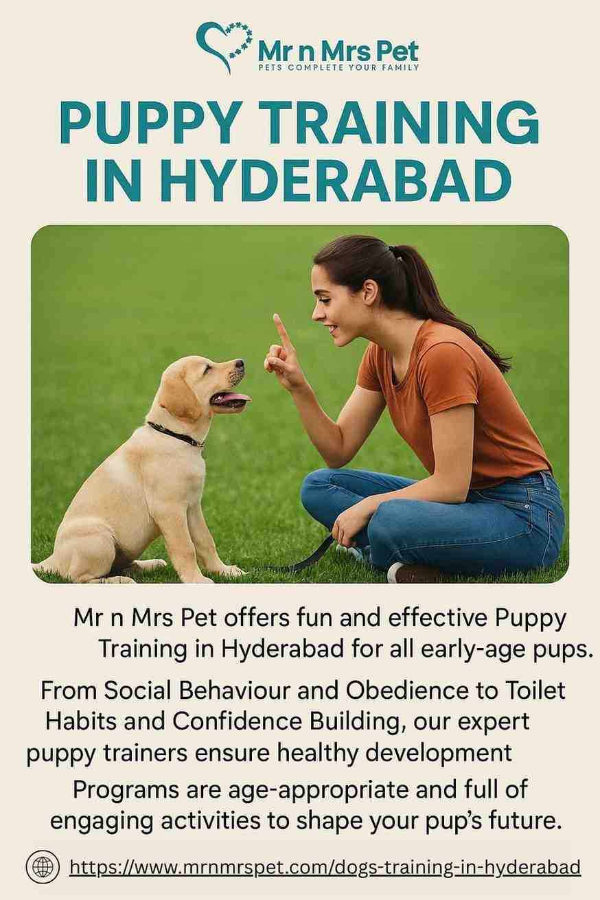 Puppy Training in Hyderabad