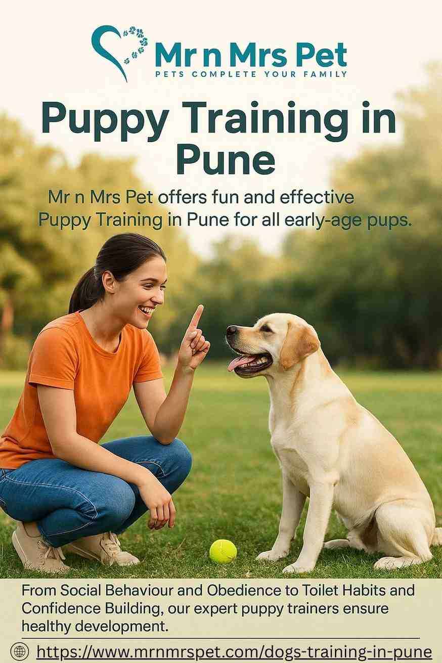 Puppy Training in Pune