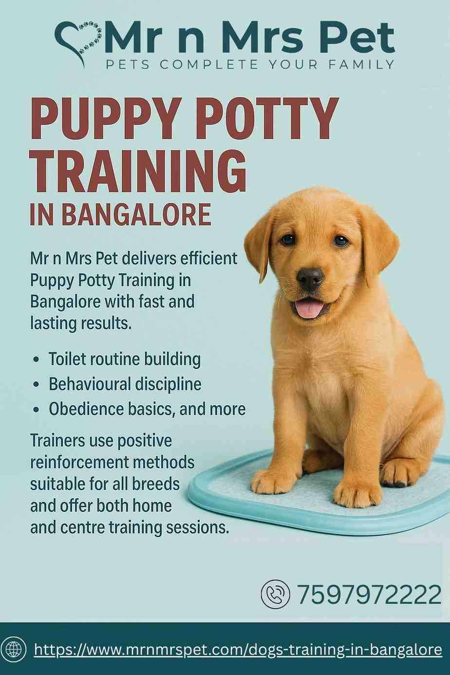 Puppy Potty Training in Bangalore
